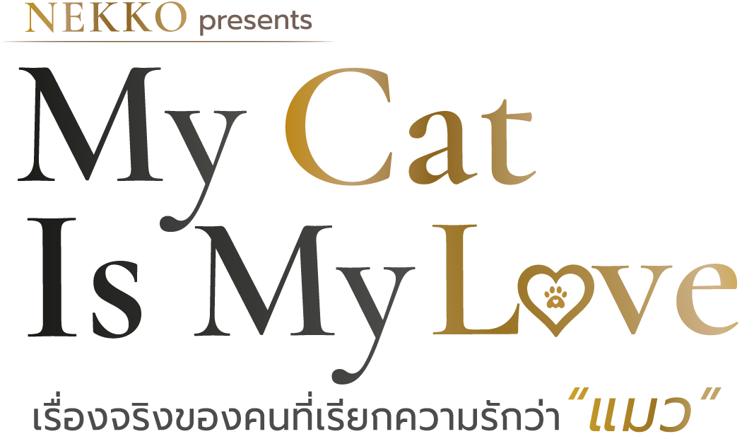 My Cat Is My Love