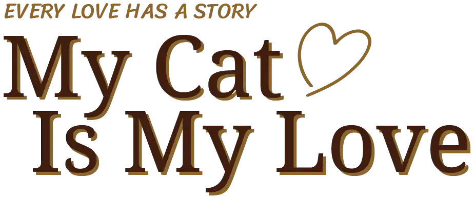 My Cat Is My Love