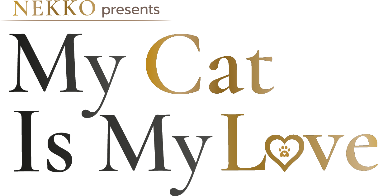 My Cat Is My Love