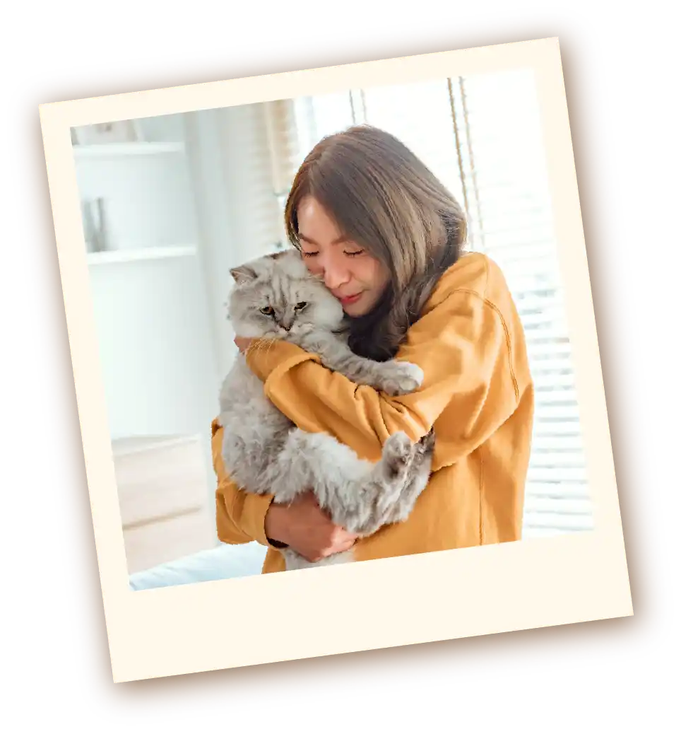 ภาพเจ้าของกับน้องแมว